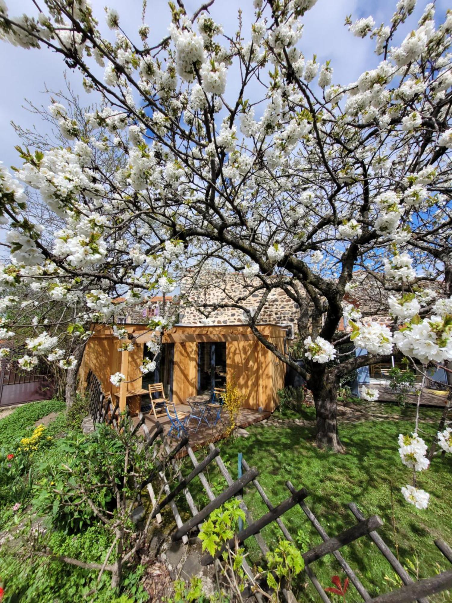 La Maisonnette Sous Le Cerisier Bergonne Buitenkant foto